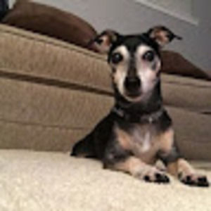 Meet your Posher, Lindsay